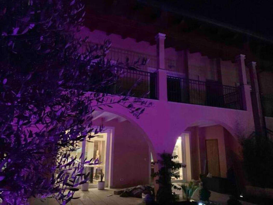 Apartment Charme And Relax With Garden And Swimming Pool Desenzano del Garda Eksteriør billede